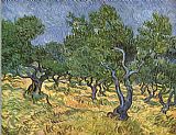 Vincent van Gogh Olive grove I painting